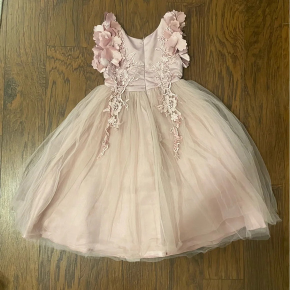 Trish Scully Bianca Gown in Rose, Size 4, Lace, Tulle , Formal, Floor Length - Picture 7 of 11